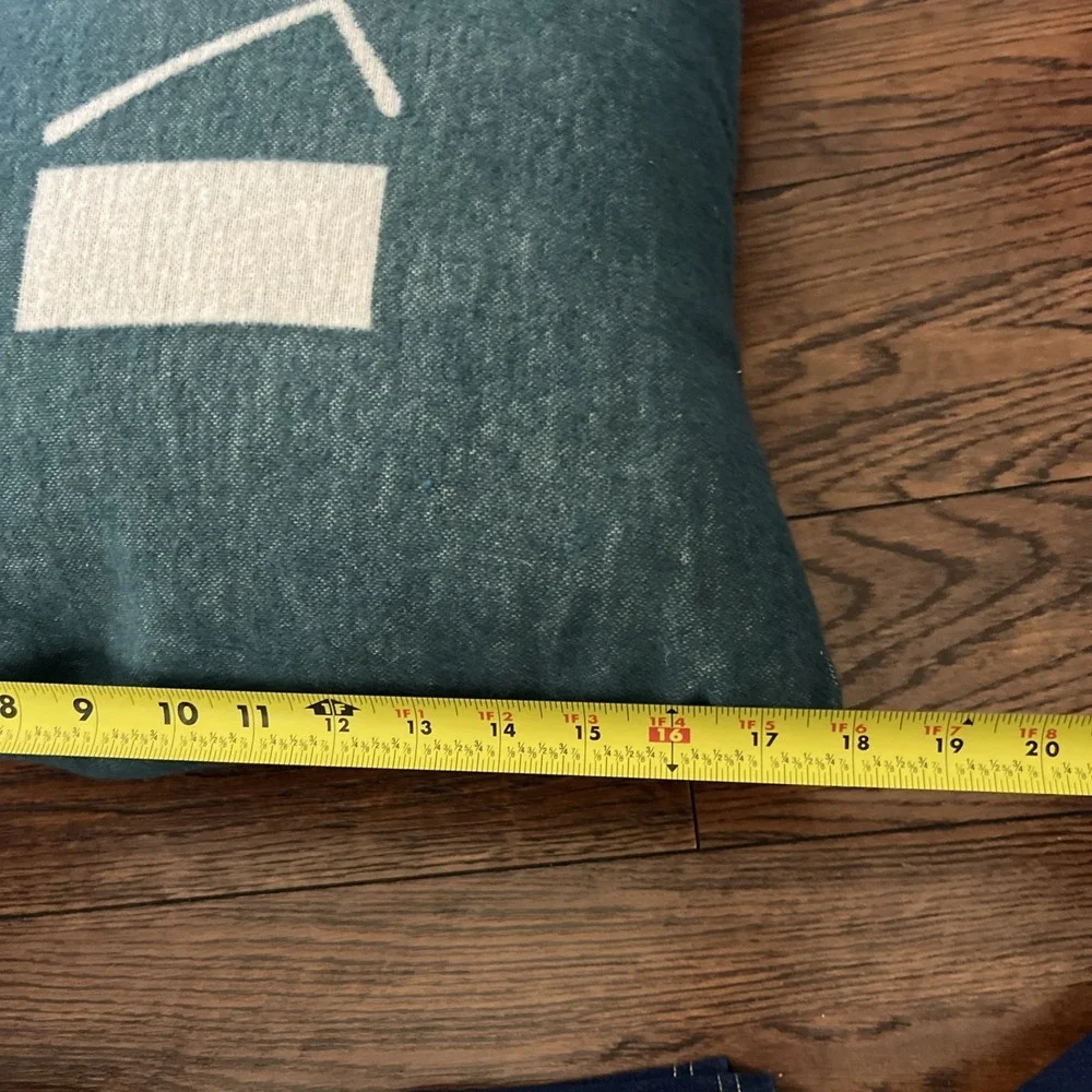 David Fussenegger Ski You Soon green down pillow, New, 18